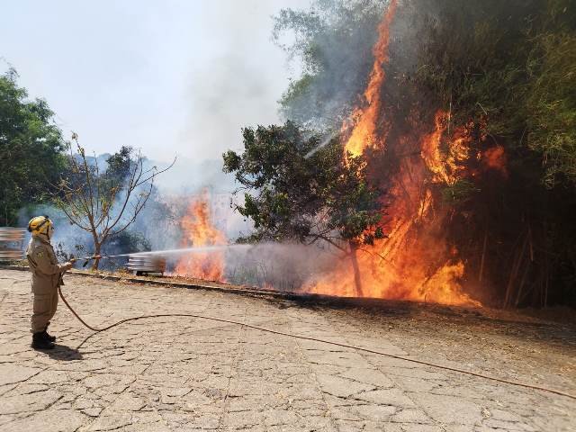 Caiado cobra governo federal e defende punições mais severas para combater incêndios