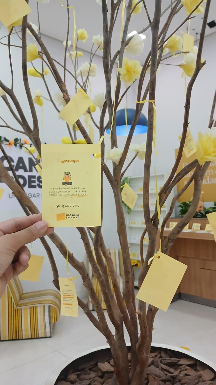 Cantinho do Desabafo recebe programação especial no Aparecida Shopping no dia 20 de setembro